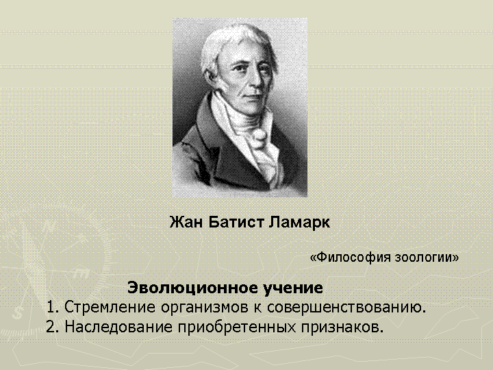 Тема урока "Эволюционное учение" (1,35 МБ)