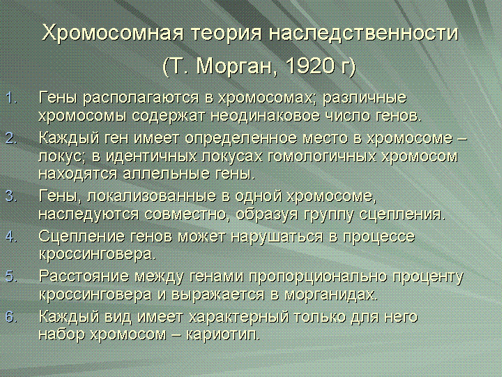 Тема урока "Хромосомная теория наследственности" (71 КБ)