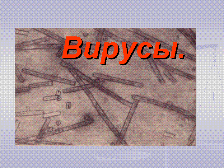 Тема урока "Вирусы" (2,72 МБ)